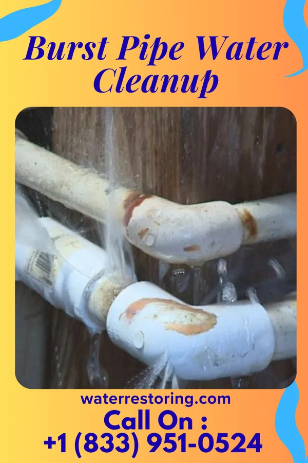 Burst Pipe Water Cleanup in Dry Run, OH