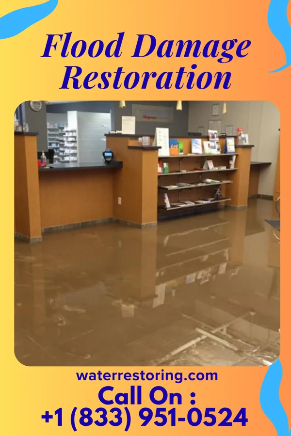 Flood Damage Restoration in Dry Run, OH