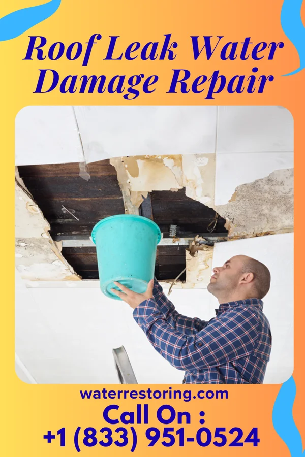 Roof Leak Water Damage Repair in Dry Run, OH