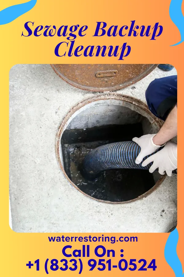 Sewage Backup Cleanup in Dry Run, OH
